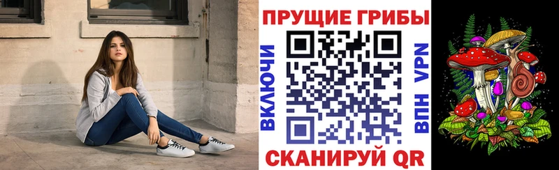 mega онион купить Отрадное дарк нет состав Галлюциногенные грибы мицелий